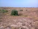 Ali Murad village mounds