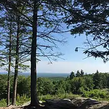 View from the summit of Mount Agamenticus in August, with lush green trees.