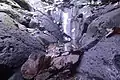 Mount Cameroon tropical rocks