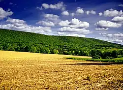 Ridge-and-valley landscape, Mount Carmel Township.