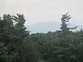 View of the Blue Ridge Mountains from Sandburg's front porch