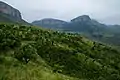 green covered Mountains