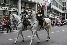 The Commissioner of the City of London Police in full ceremonial uniform, 2012.