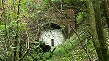 Singleton and Cocking Tunnels