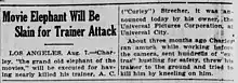 Photo of newspaper clipping; headline reads Movie Elephant Will Be Slain for Trainer Attack