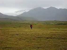 Flat grass-covered terrane with a glaciated mountain in the background.