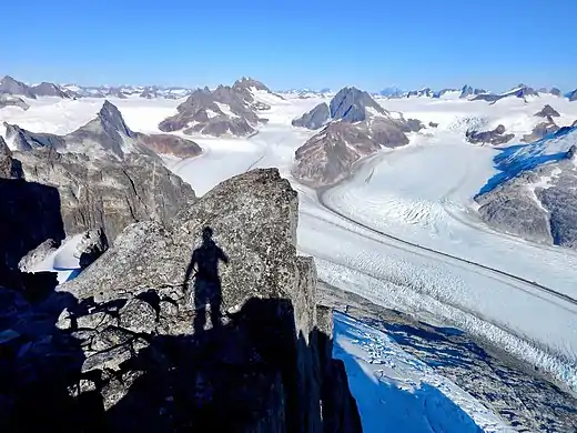 View from Mt. Ernest Gruening of Herbert Glacier and The Snow Towers (left of center)