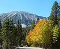 The north end of Mt. Starr seen from Bear Creek Lake area