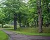 Mt. Albion Cemetery