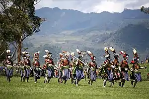 Warrior dancers (Papua New Guinea)
