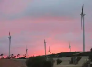Mount Millar wind farm at sunset