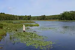 Mud Pond in Slocum Township