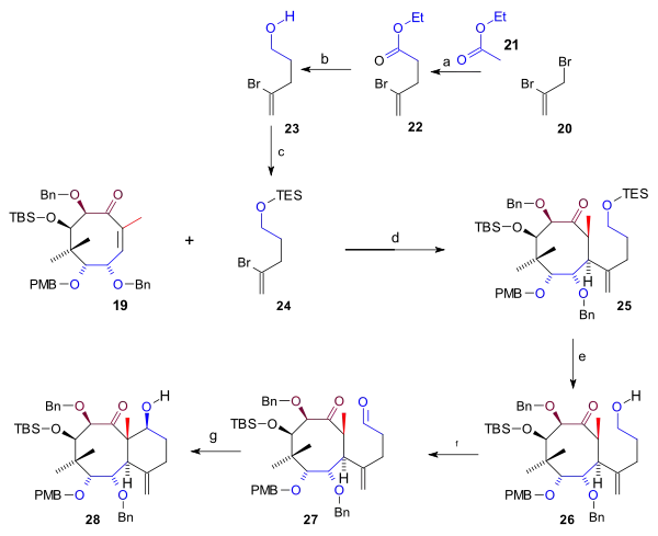 Ring C synthesis scheme 3