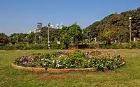 Shrubbery in the park