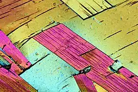 Tabular muscovite crystals in a gneiss in thin section viewed under cross-polarized light at 2x magnification.