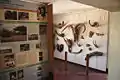 Old Olduvai Gorge Museum interior