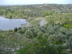 Countryside near Mushayrafet al-Samouk