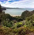 Mussel Beach, Port Craig