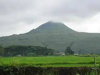 Musuan in Bukidnon
