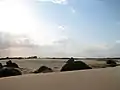 Sand dunes at Myall Lakes National Park