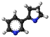 Ball-and-stick model of the myosmine molecule