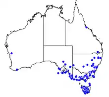 Australian map showing the jack jumper ants range in the country