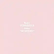 A static pink field with white text reading "Band: Turnstile Song: Mystery" written across the pink field.