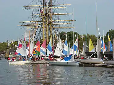 Catboats with Bermuda rig