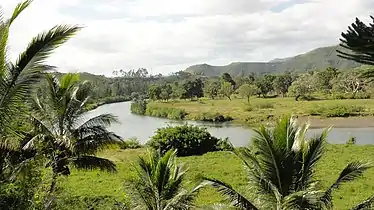Vegetation surrounding river Néra