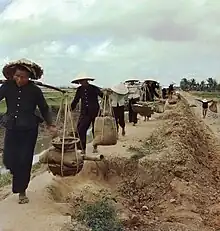 Vietnamese farmers in Tuy Hoa, 1966.