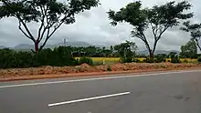 NH 766 view from Gundalpet to Wayanad