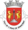 Coat of arms of Canas de Senhorim