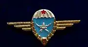 Hungarian People's Army Gold Laurel 1st Class parachutist badge, 1970s