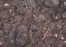 Dung used as fertilizer