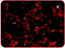 Typical image produced by NTA showing particles being tracked.