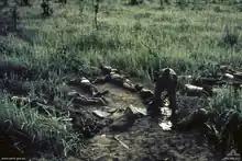 A soldier searches a number of dead bodies which lay strewn amidst the grass.