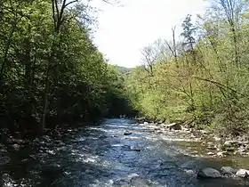 Chittenango Creek flowing away from the falls in May.