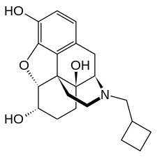 Chemical structure of Nalbuphine.