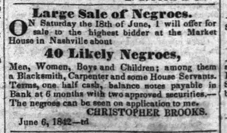 "Terms, one half cash, balance notes payable in Bank at 6 months with two approved securities. The Negroes can be seen upon application to me."
