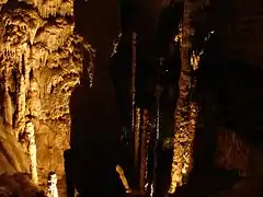 More tall, thin stalagmites.