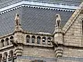 Terracotta lioness gargoyles and sculptures of sitting panthers on the western end tower, Natural History Museum