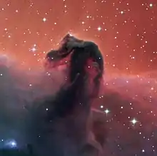 The Horsehead Nebula seen by SPECULOOS's Callisto telescope