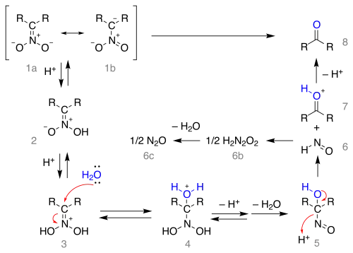 The Nef reaction mechanism