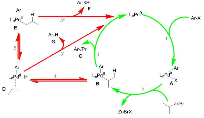 The mechanism of the Negishi coupling