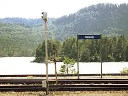 View of the lake near Nelaug Station