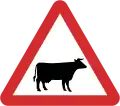 B26: Cattle ahead