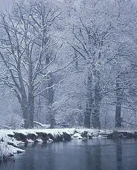 River Nerussa, Bryansk Nature Reserve