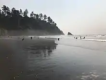 Neskowin Ghost Forest in August 2017