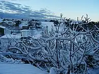 Snow in Venta del Charco, Sierra de Cardeña