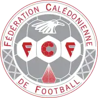 Shirt badge/Association crest